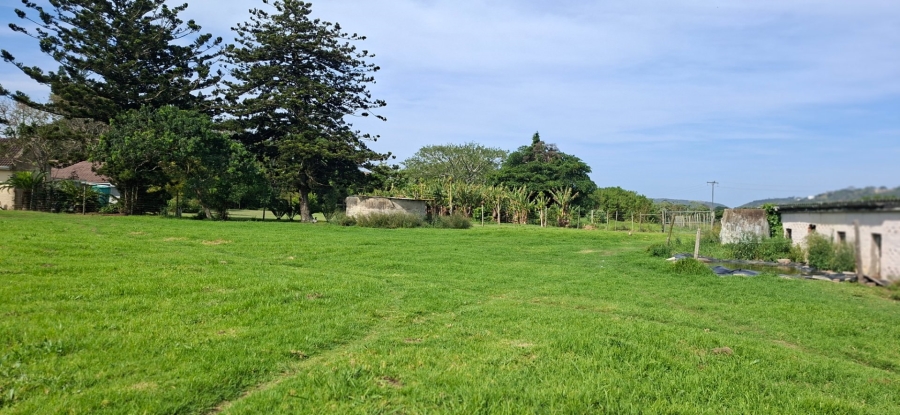 Commercial Property for Sale in Meisies Halt Eastern Cape